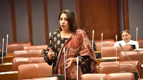 Who is Palwasha Mohammad Zai Khan, Pakistan Senator Behind Controversial Babri Mosque Claim
