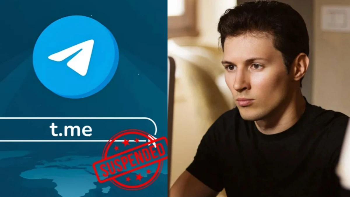 Telegram Domain t.me Go Offline After Domain Placed on Server Hold